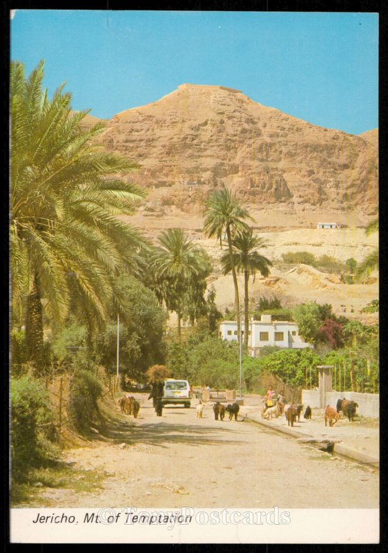 Jericho, Elisha's Fountain, View to Mt. of Temtation