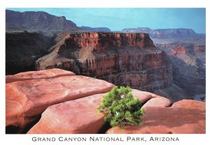 Vintage Postcard Grand Canyon National Park Layered Bands of Red Rock Arizona