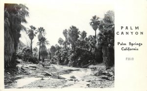 RPPC Postcard Palm Canyon Palm Springs Riverside County CA Frashers Foto F-3510