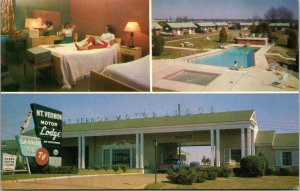 Postcard AL Montgomery Mount Vernon Motor Lodge Swimming Pool AAA 1950s V189