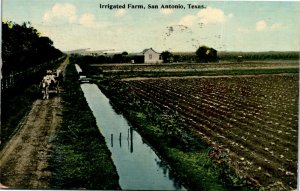 Postcard Texas San Antonio Irrigated Farm Canal Buggies 1912 S63