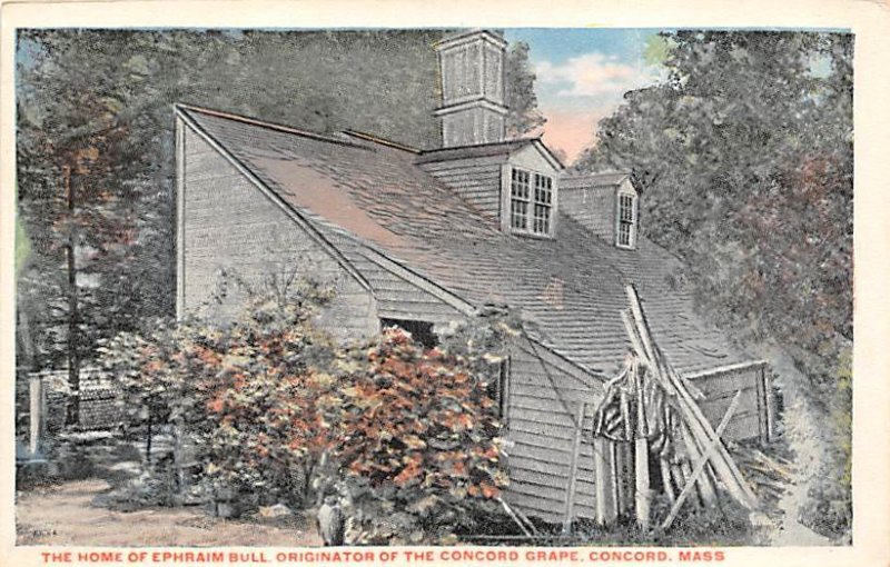 Home of Ephraim Bull, Originator of the Concord Grape Concord, MA USA Fruit A...