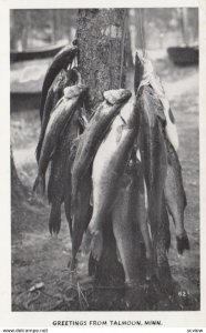 RP: Fish , TALMOON , Minnesota , 1951