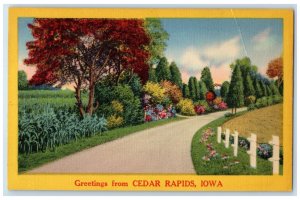 c1940s Greetings From Cedar Rapids Iowa IA Unposted Country Road Trees Postcard