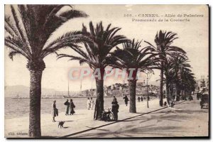 Postcard Old Cannes Allee Plamiers the Croisette Promenade