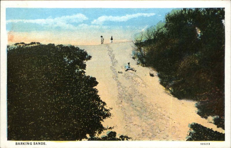 Niihau Hawaii HI Barking Sands c1920 Postcard