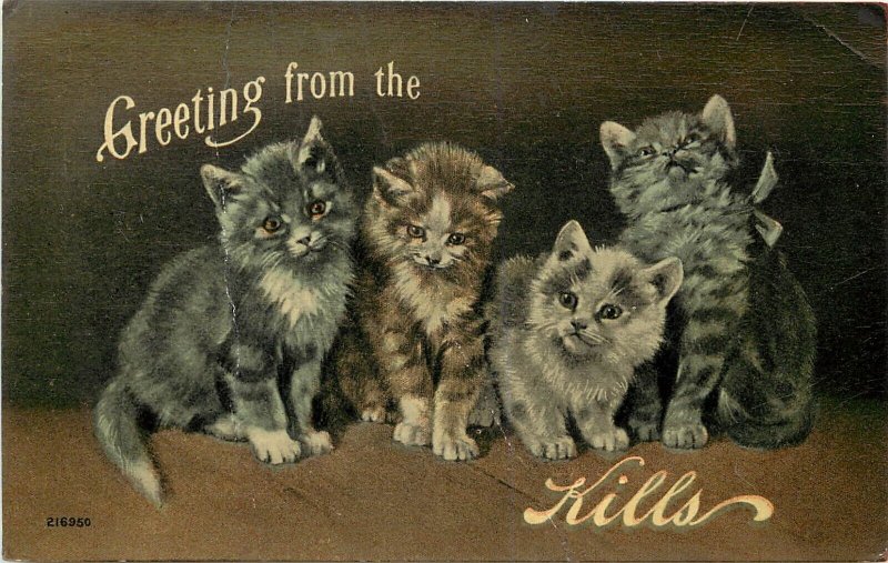 c1910 Postcard; Kittens' Greeting from the (Cats) Kills / Catskills, Unposted