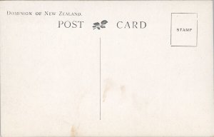 Geyser House Hotel Wairakei NZ New Zealand Scarce Litho Postcard H53