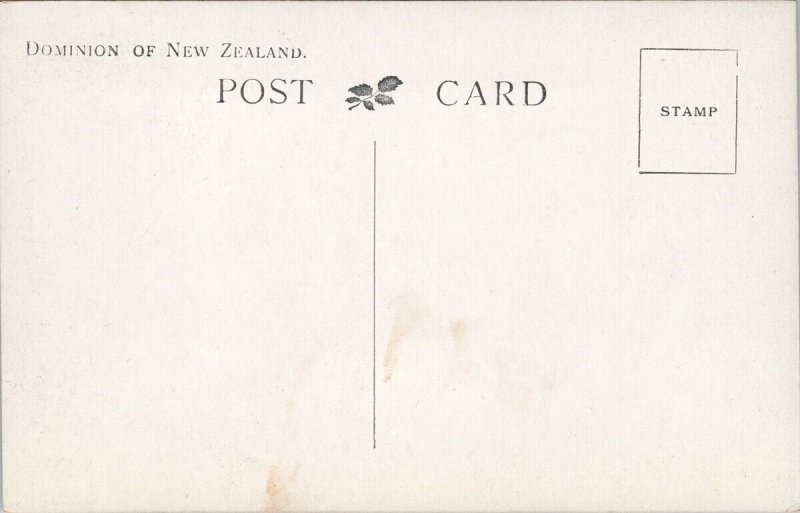 Geyser House Hotel Wairakei NZ New Zealand Scarce Litho Postcard H53