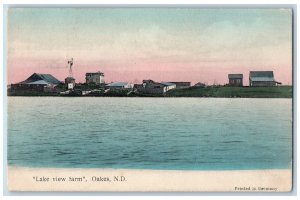 Oakes North Dakota ND Postcard Lake View Farm Horse Scenic View 1910 Antique