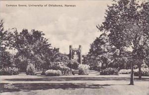 Oklahoma Norman Campus Scene University of Oklahoma Albertype