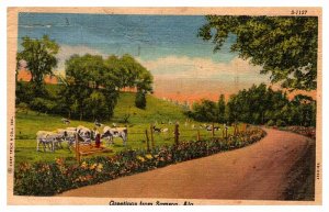 Postcard FARM SCENE Sameon Alabama AL AU9881