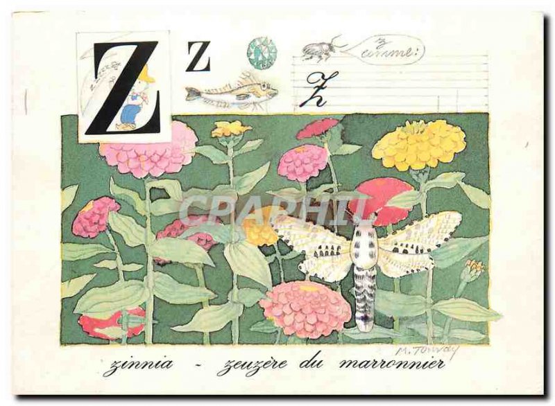 Postcard Modern Nature's Alphabet Z Zinnia Chestnut