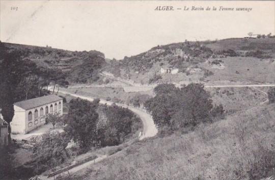 Algeria Alger Le Ravin de la Femme Sauvage