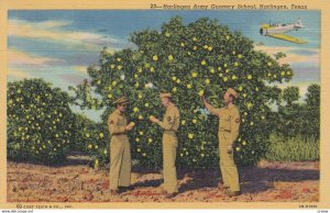 HARLINGTON , Texas , 1930-40s ; Army Gunnery School