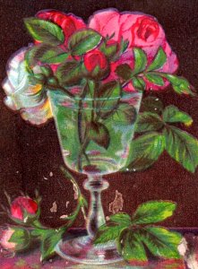 1880s Victorian Trade Cards Beautiful Roses Flowers In Vases Lot Of 4 F59