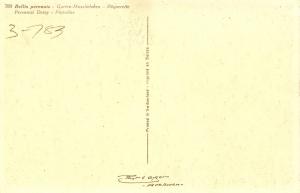 Flowers -  Perennial Daisy                 (Thor & Gyger #789)