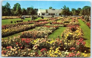 Postcard - Central grass mall, Jackson & Perkins Rose Garden - Newark, New York