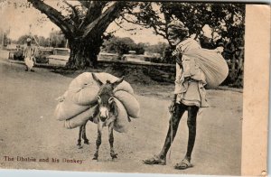 Dhobie and His Donkey