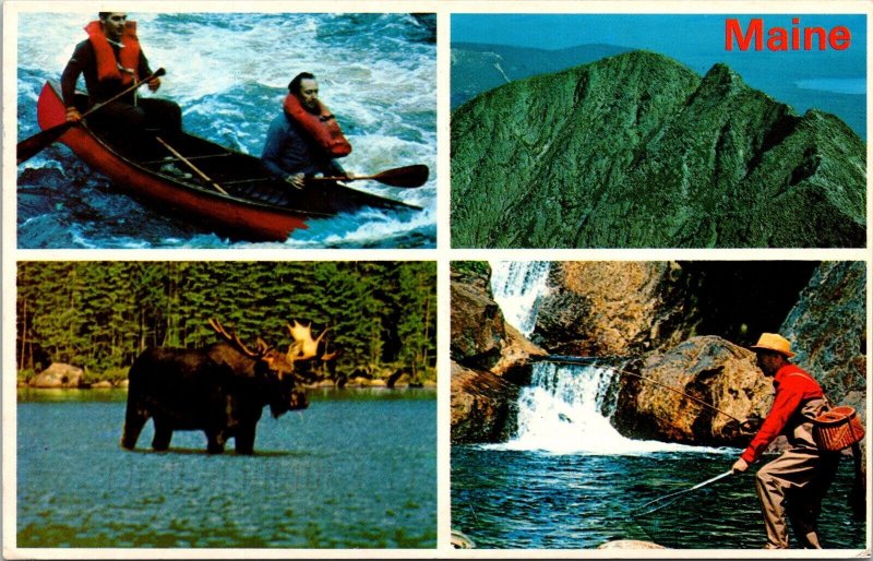 Maine Multi View Scenic Natural Landmarks Bull Moose Chrome Cancel WOB Postcard 