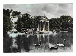 Italy Rome Villa Borghese Laghetto Pond Swans Gardens 4X6 Real Photo Postcard