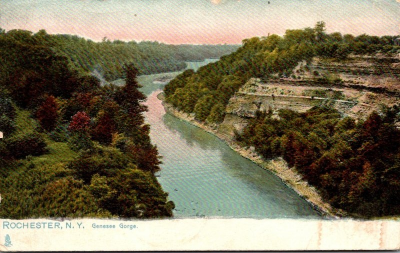 New York Rochester Genesee Gorge 1907 Tucks