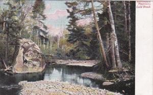New York Adirondack Mountains Cold Brook