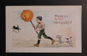 Mint USA Picture Postcard Halloween Child with Pumpkin Stick Dog and Black Cat