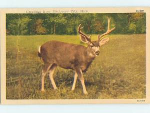 Unused Linen GREETINGS FROM - DEER BY THE FOREST Mackinaw City Michigan MI Q9409