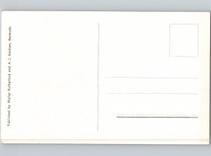 c1930 Cathedral Rocks Bermuda RPPC Real Photo Postcard