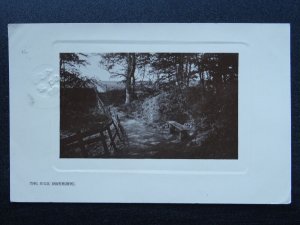 Scotland Inverurie THE RIGS showing Wooden Foot Bridge & Bench c1908 RP Postcard