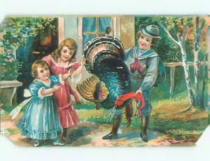 Pre-Linen thanksgiving GRUESOME POSTCARD - KIDS CARRY DEAD TURKEY k8931