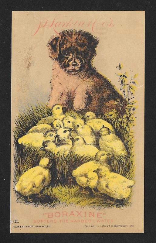 VICTORIAN TRADE CARD Boraxine Dog & Chicks