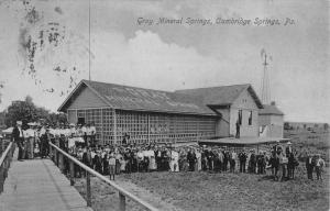 Cambridge Springs Pennsylvania Gray Mineral Springs Antique Postcard K105328