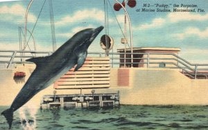 Vintage Postcard Pudgy The Purpoise at Marine Studios Marineland Florida Fla.