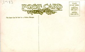 CT - State Flower & Capitol. Rhododendron & Hartford