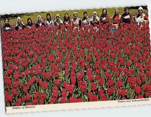 Postcard Display of Beauties, Sunken Gardens, Holland, Michigan