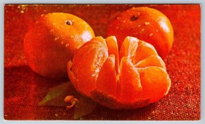 Peeled Florida Honey Tangerine, Vintage Chrome Postcard