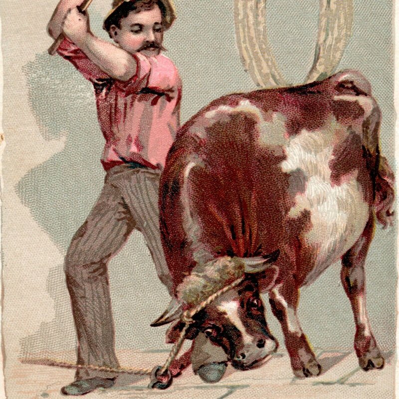 1889 Man Killing Bull Arbuckles Ariosa Coffee Victorian Trade Card