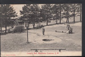 London Postcard - Caesar's Well, Wimbledon Common  BR162