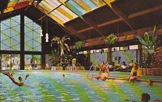 Minnesota Minneapolis Curtis Hotel Tropical Swimming Pool