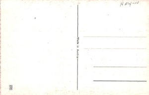 Devil Krampus Unused 