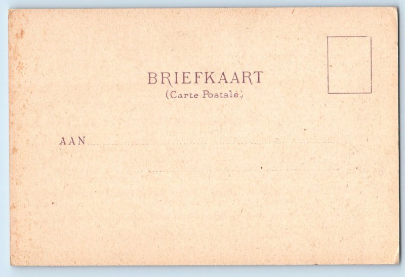 Netherlands Postcard View of Queen Maxima Standing c1905 Antique Unposted