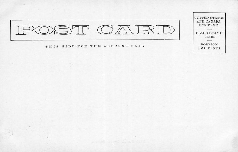 LYONS KANSAS HIGH SCHOOL-VIGNETTE 1900s POSTCARD