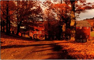 Autumn Splendor Catskill Mountain Country Roads New York Media Magic Postcard 