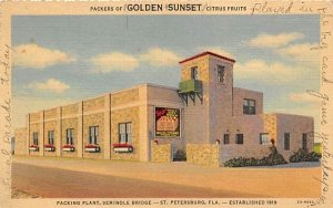 Packers of Golden Sunset Citrus Fruits St Petersburg, Florida