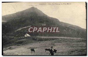 Postcard Old Cantal Puy Mary in a Pasture