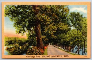Greetings From Young America Indiana~Tree Lined Road Scene~Vtg Linen Postcard