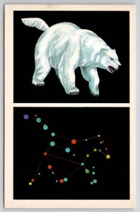 Astronomy Constellation Ursa Major The Great Bear Postcard L42