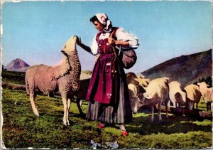 France Pyrennes Young Girl In Traditional Costume With Sheep